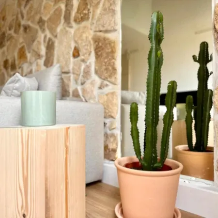 Magnifique Rez-de-jardin Renove - Cap D'agde Σπίτι διακοπών Agde